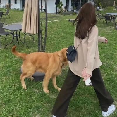 无证之爱