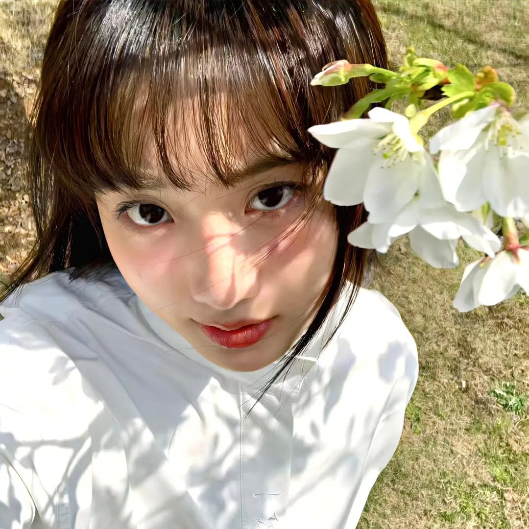 美味情缘粤语